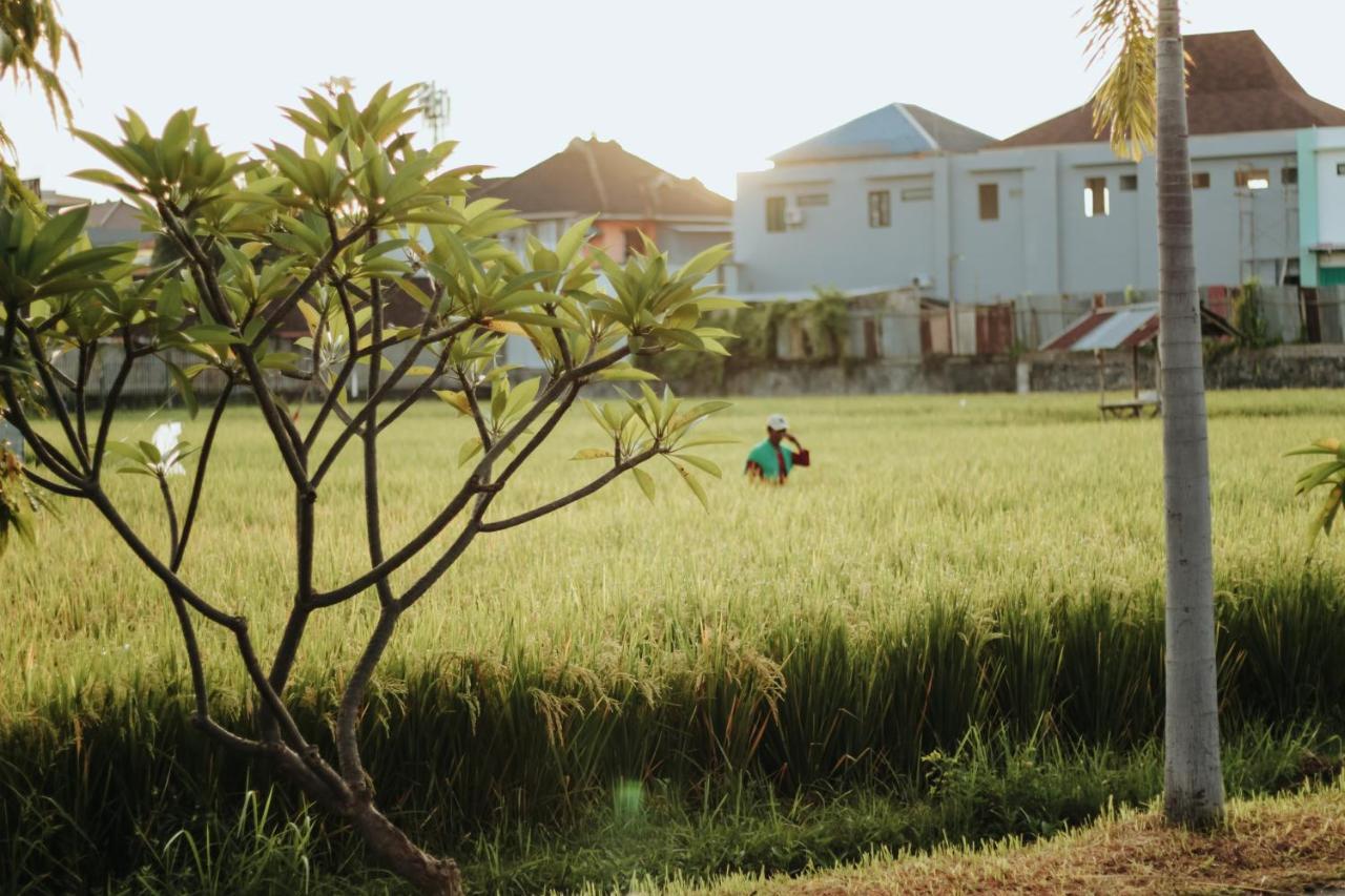 Hotel Mandari Pabean Buleleng Esterno foto